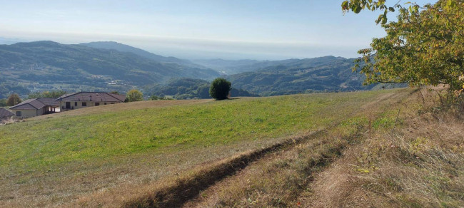 Terreno agricolo in vendita a Vestenanova (VR)