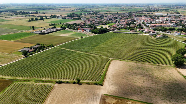 Terreno Agricolo in vendita a Pojana Maggiore