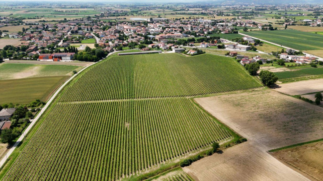 Terreno Agricolo in vendita a Pojana Maggiore