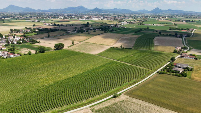 Terreno Agricolo in vendita a Pojana Maggiore