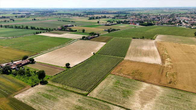 Terreno Agricolo in vendita a Pojana Maggiore