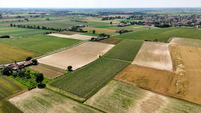 Terreno Agricolo in vendita a Pojana Maggiore