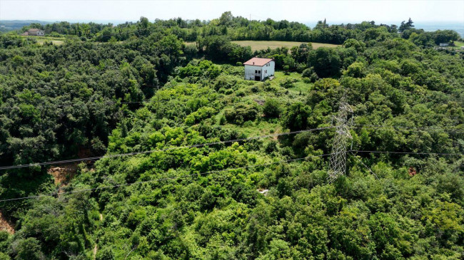 Casa singola in vendita a Sarego