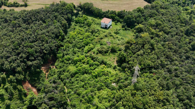 Casa singola in vendita a Sarego