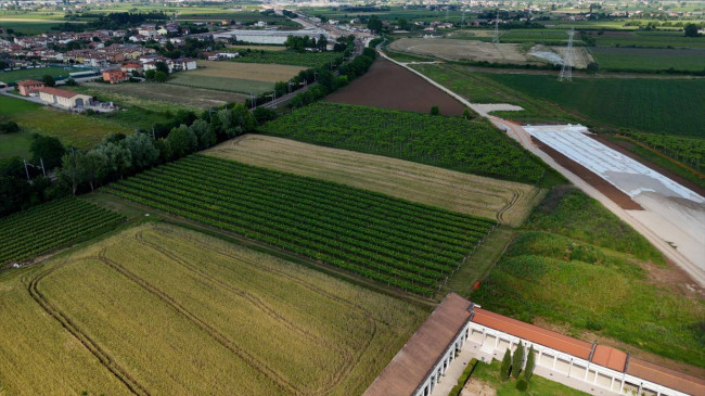 Terreno Agricolo in Vendita a San Bonifacio