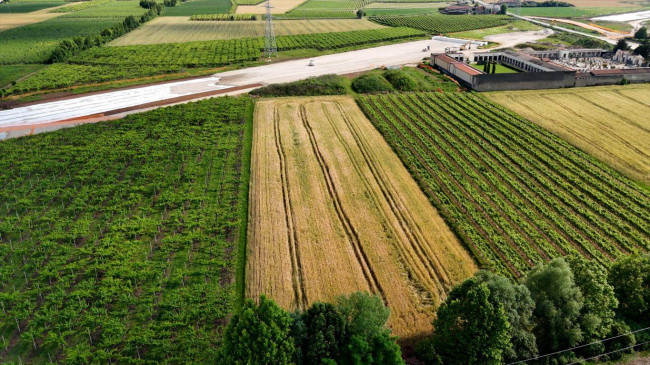 Terreno Agricolo in vendita a San Bonifacio