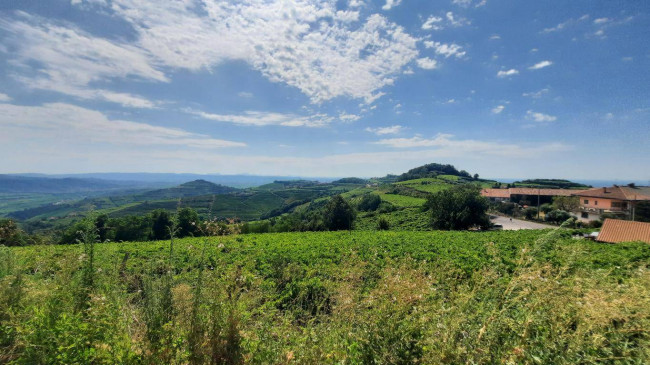 Terreno agricolo in vendita a Castelcerino, Soave (VR)