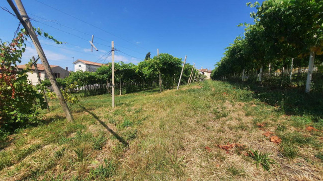 Terreno agricolo in vendita a Castelcerino, Soave (VR)