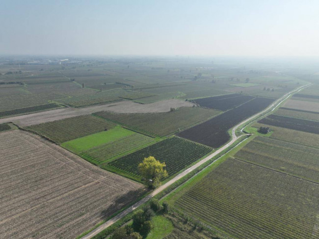 Terreno Agricolo in vendita a San Bonifacio