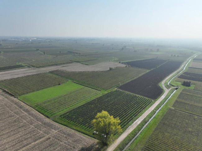 Terreno Agricolo in vendita a San Bonifacio
