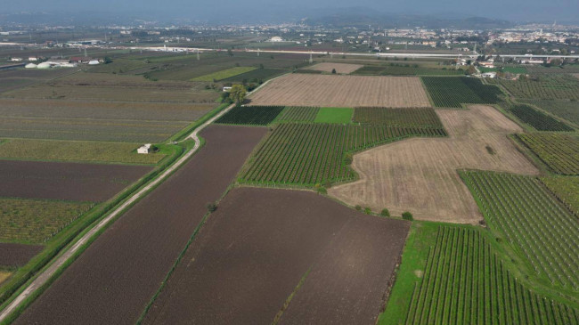 Terreno Agricolo in vendita a San Bonifacio