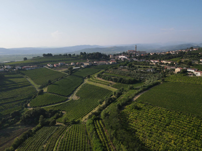 Terreno Agricolo in vendita a Colognola ai Colli