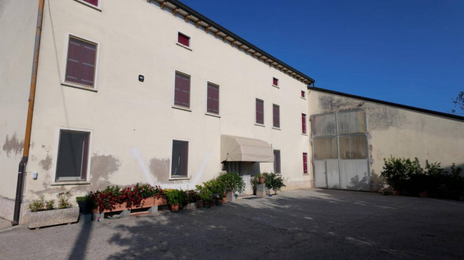 Azienda  Agricola in vendita a Albaredo d'Adige