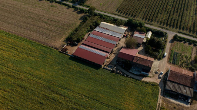 Azienda  Agricola in vendita a Albaredo d'Adige