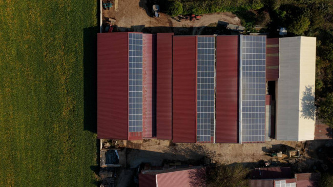 Azienda  Agricola in vendita a Albaredo d'Adige