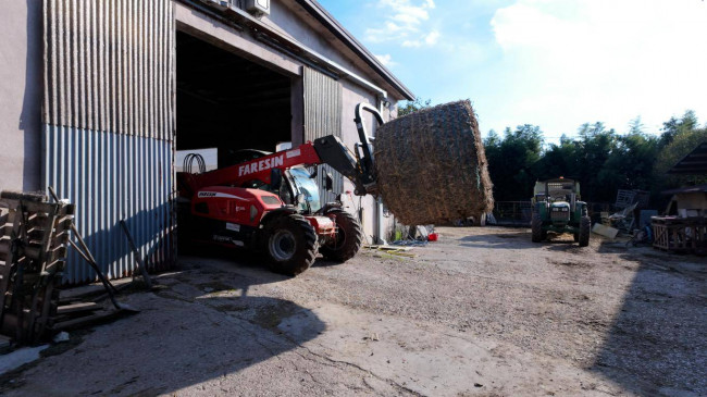 Azienda  Agricola in vendita a Albaredo d'Adige