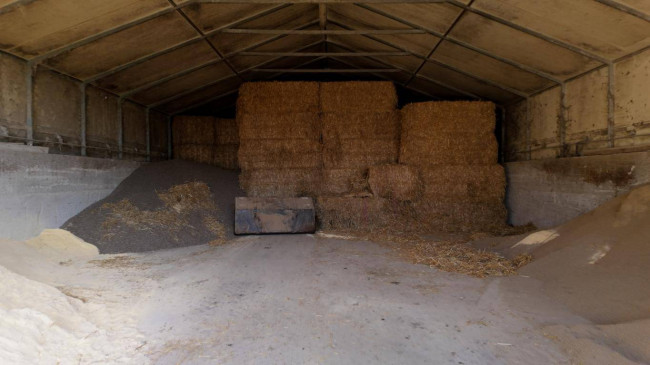 Azienda  Agricola in vendita a Albaredo d'Adige