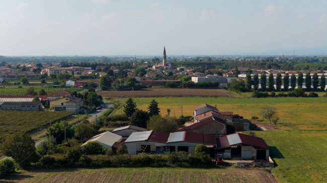 Azienda  Agricola in vendita a Albaredo d'Adige