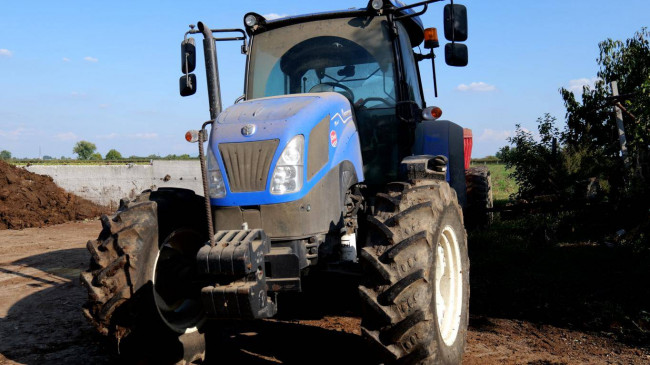Azienda  Agricola in vendita a Albaredo d'Adige