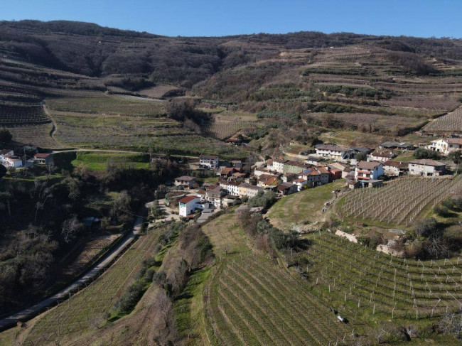 Casa Terra-cielo in Vendita a San Giovanni Ilarione