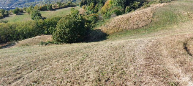 Terreno Agricolo in vendita a Vestenanova