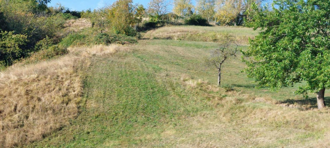 Terreno Agricolo in vendita a Vestenanova