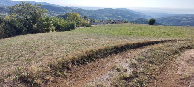 Terreno Agricolo in vendita a Vestenanova