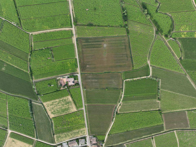 Terreno Agricolo in vendita a Monteforte d'Alpone