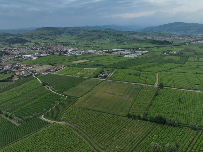 Terreno Agricolo in vendita a Monteforte d'Alpone