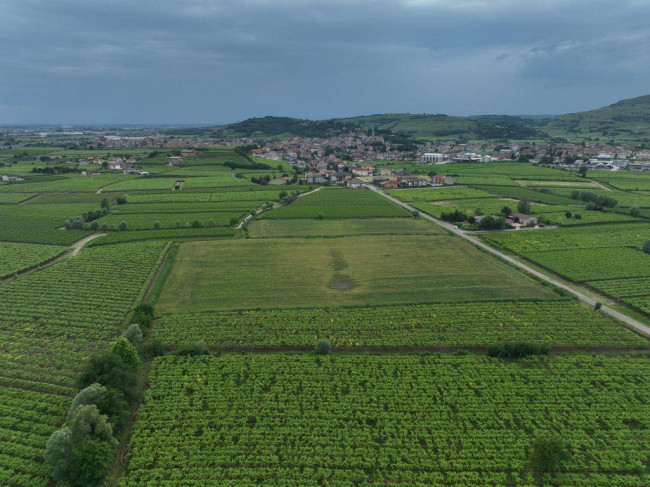 Terreno Agricolo in vendita a Monteforte d'Alpone