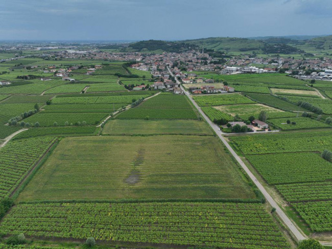 Terreno Agricolo in vendita a Monteforte d'Alpone
