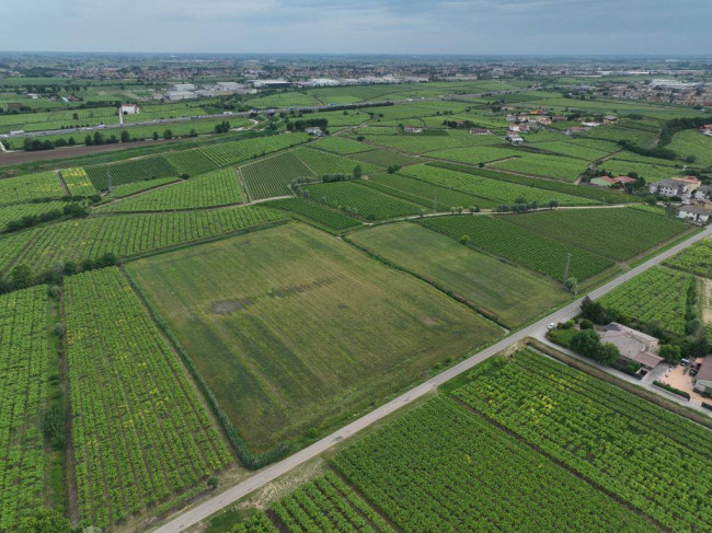 Terreno Agricolo in vendita a Monteforte d'Alpone
