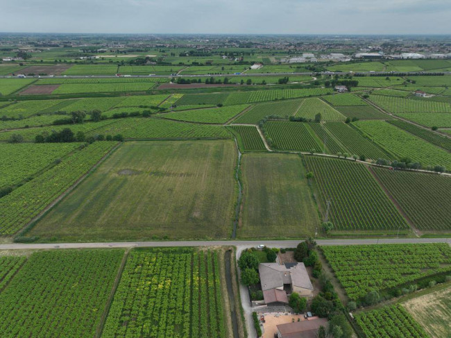 Terreno Agricolo in vendita a Monteforte d'Alpone