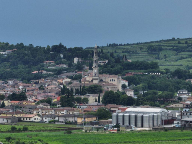 Terreno Agricolo in vendita a Monteforte d'Alpone