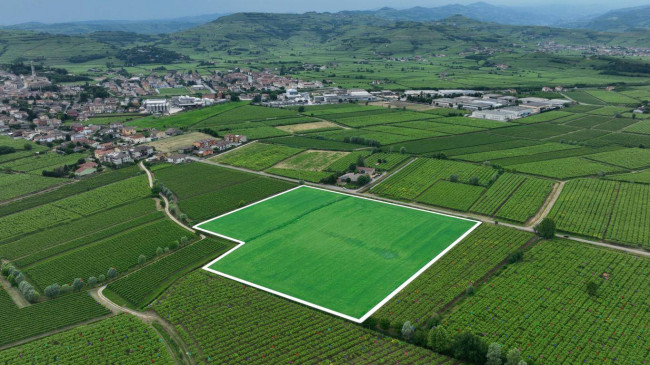 Terreno Agricolo in Vendita a Monteforte d'Alpone