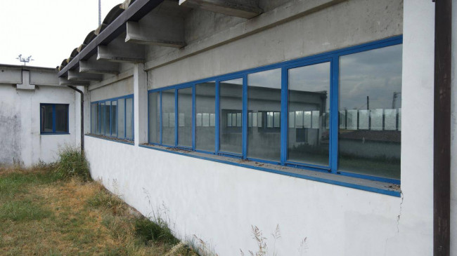 capannone artigianale/magazzino in vendita a Salizzole