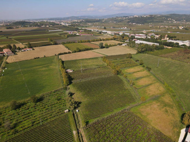 Terreno Agricolo in Vendita a Colognola ai Colli