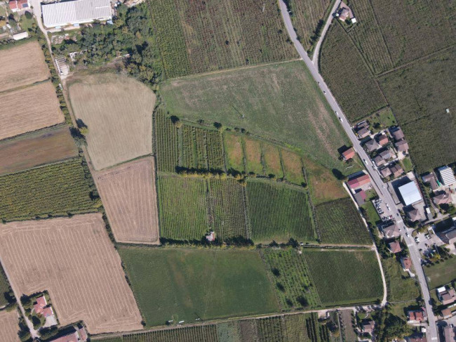 Terreno Agricolo in vendita a Colognola ai Colli