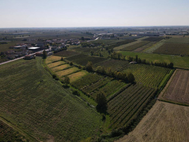 Terreno Agricolo in vendita a Colognola ai Colli