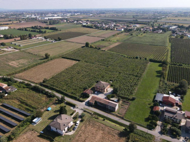 Terreno Agricolo in vendita a Cologna Veneta