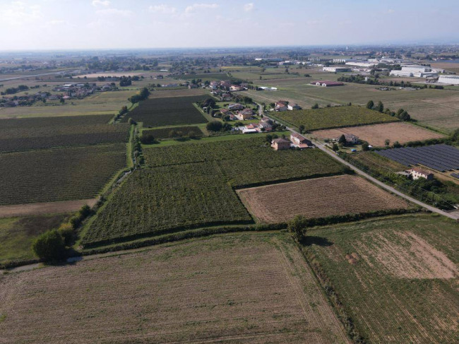 Terreno Agricolo in vendita a Cologna Veneta