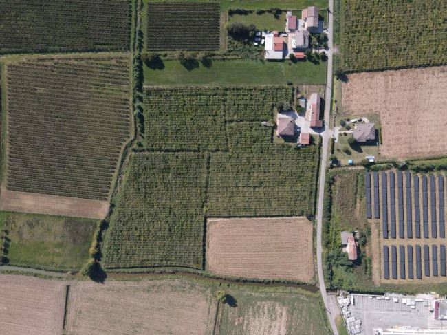 Terreno Agricolo in vendita a Cologna Veneta