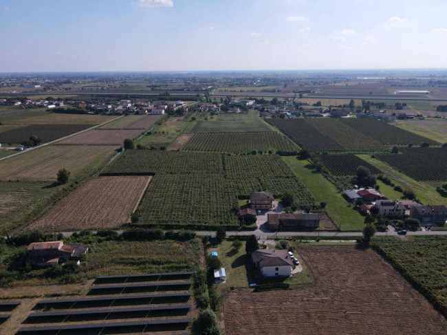 Terreno Agricolo in vendita a Cologna Veneta