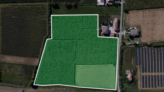 Terreno Agricolo in Vendita a Cologna Veneta