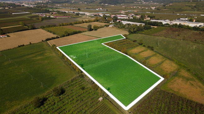 Terreno Agricolo in Vendita a Colognola ai Colli