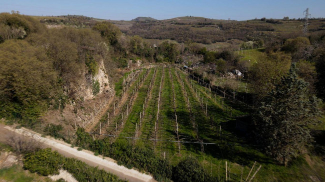 Rustico in vendita a Soave