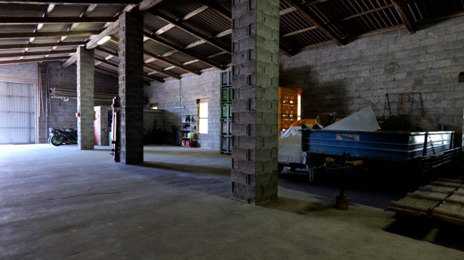 capannone artigianale/magazzino in affitto a Cologna Veneta