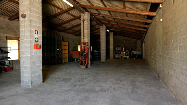 capannone artigianale/magazzino in affitto a Cologna Veneta