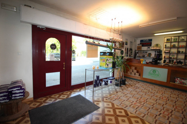 Locale commerciale in affitto a Treviso