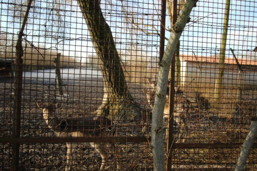 Rustico in vendita a Musile di Piave